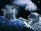 ���� 3D-������� 14